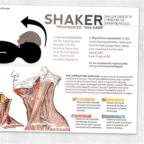 shaker exercise